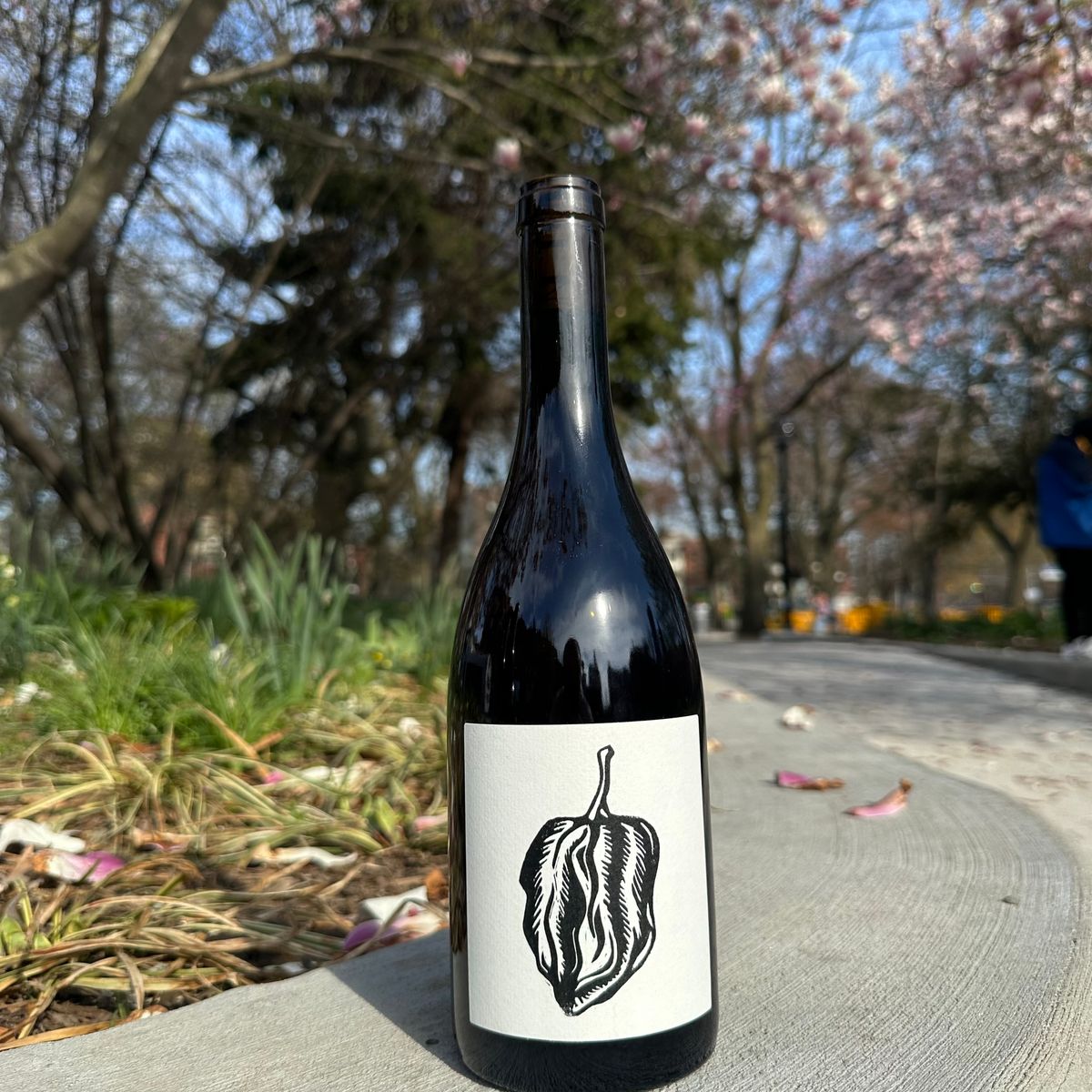 Vin Noé, “Salt & Pepper” 2024