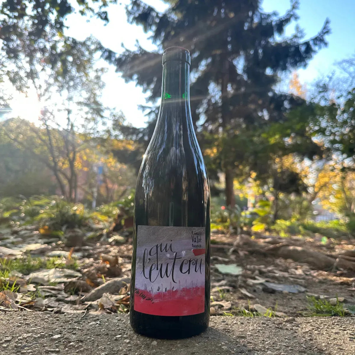 Romuald Valot, "Qui L'eut Cru..." 2022