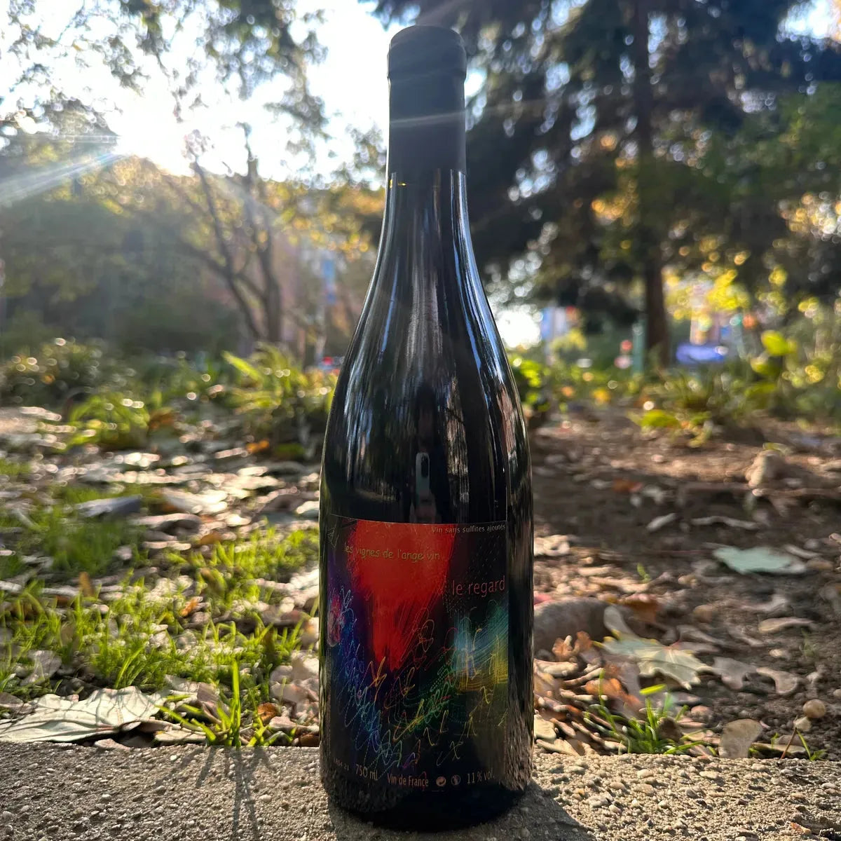 Domaine de l'Ange Vin, "Le Regard" 2021