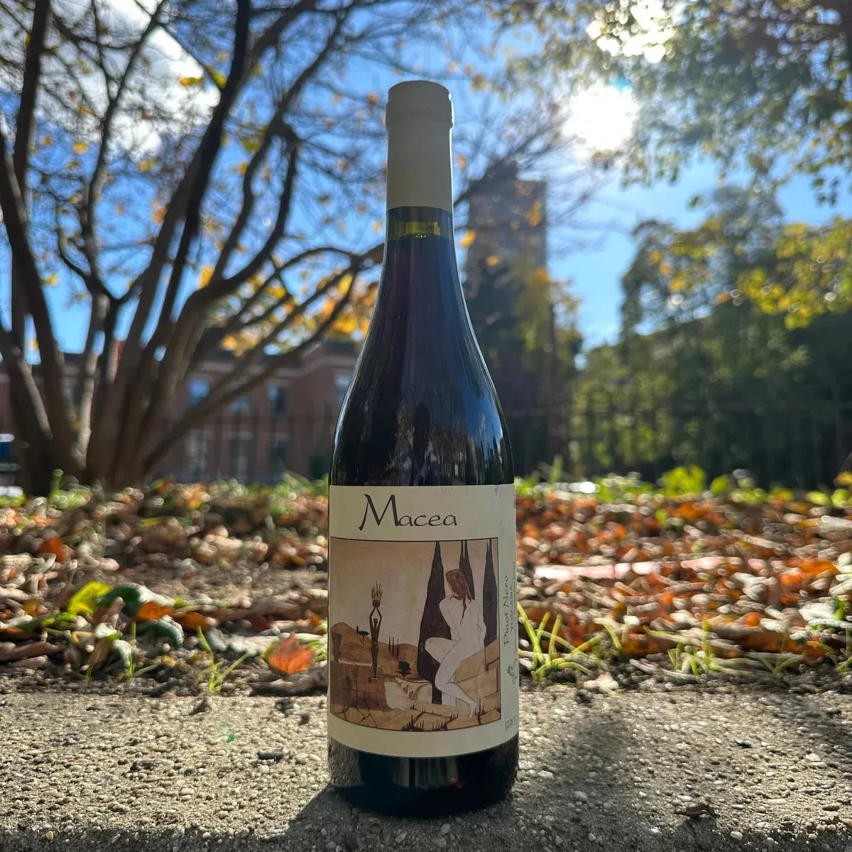 Macea, "Pinot Nero" 2021