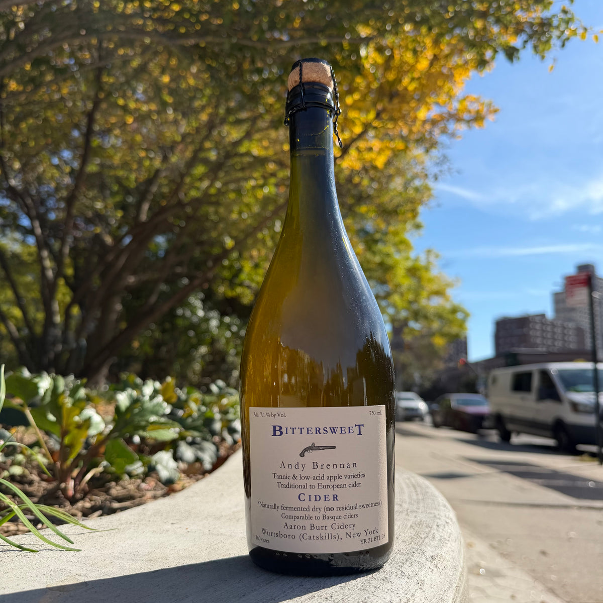 Aaron Burr, "Bittersweet Cider" 2021