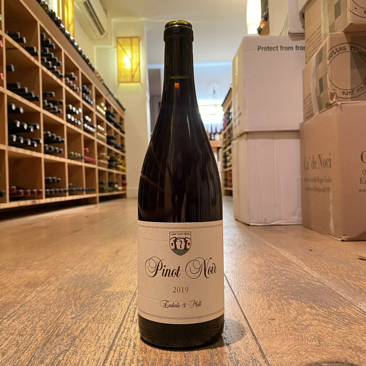 Enderle & Moll, "Pinot Noir, Basis" 2019
