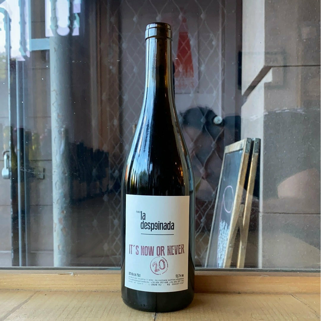 Finca La Despeinada, "It's Now or Never" 2020