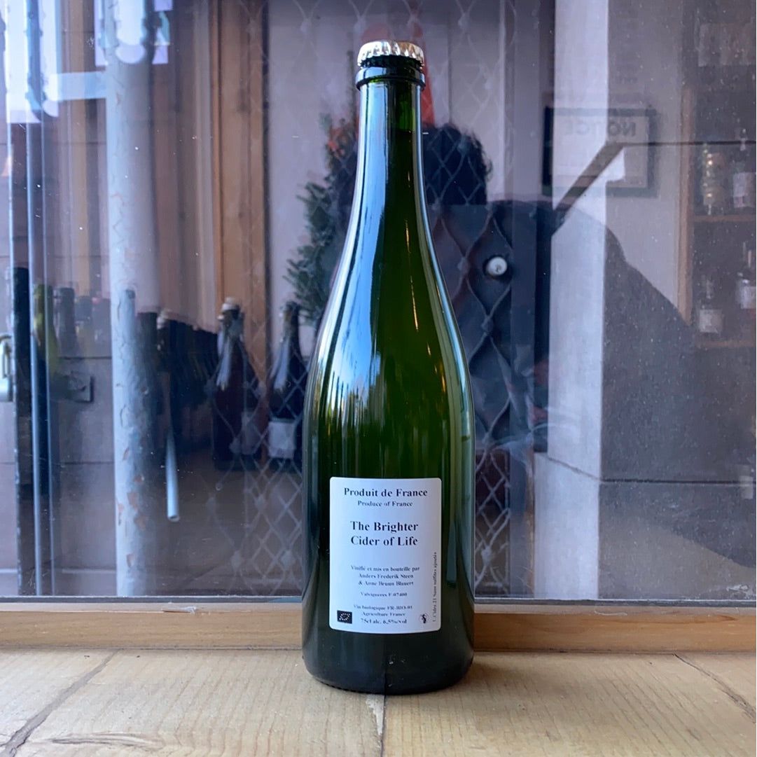 Anders Frederik Steen, "The Brighter Cider of Life" 2021