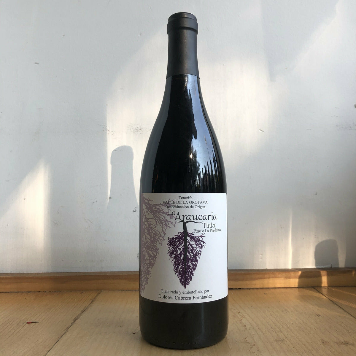 Dolores Cabrera, "La Araucaria Tinto"