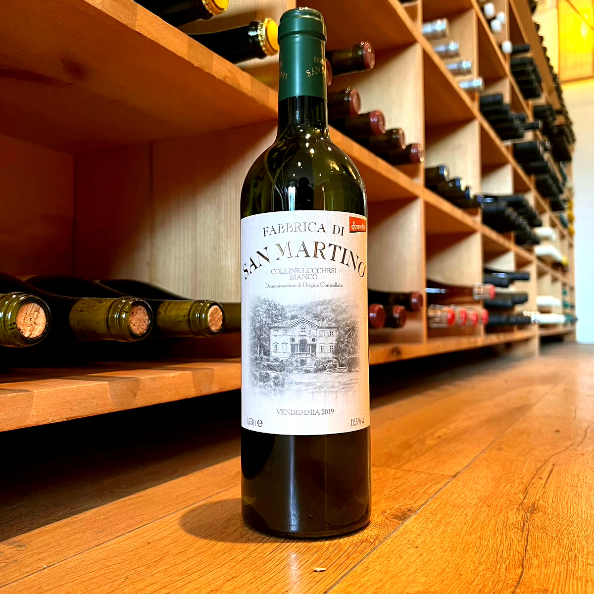 Martino Colline, "Lucchese Bianco" 2019