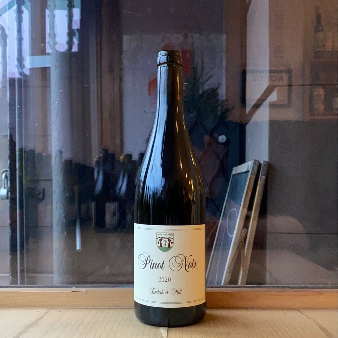 Enderle & Moll, "Pinot Noir Basis" 2020