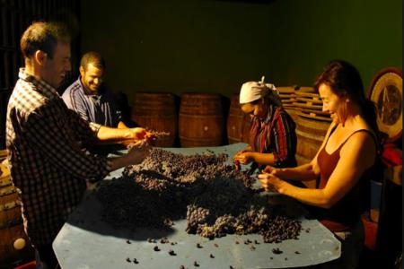 El Jelipins