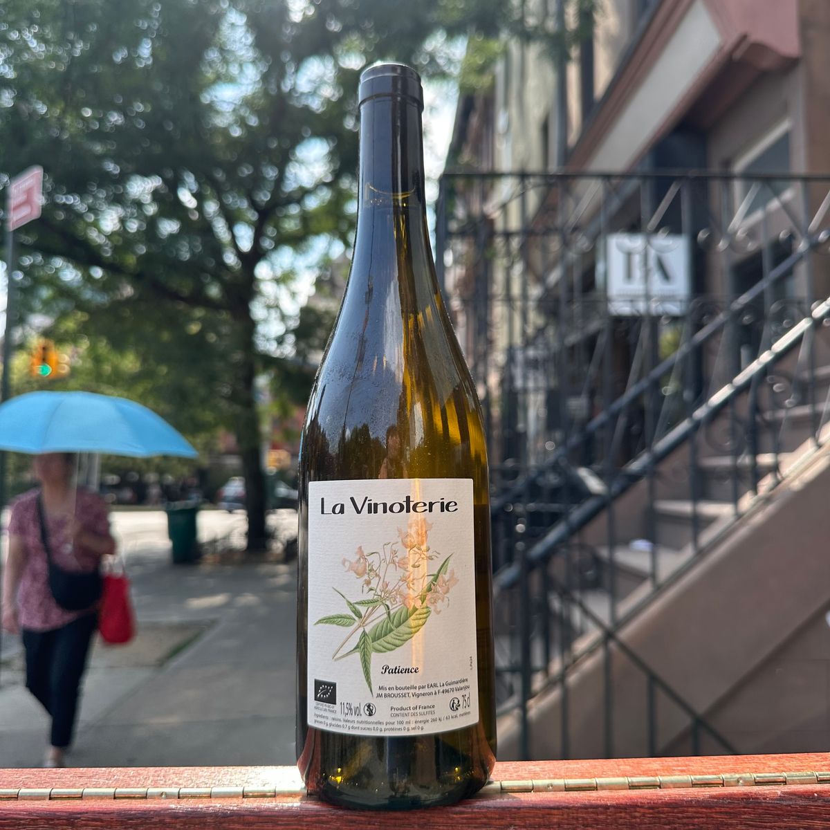 La Vinoterie, "Patience" 2024