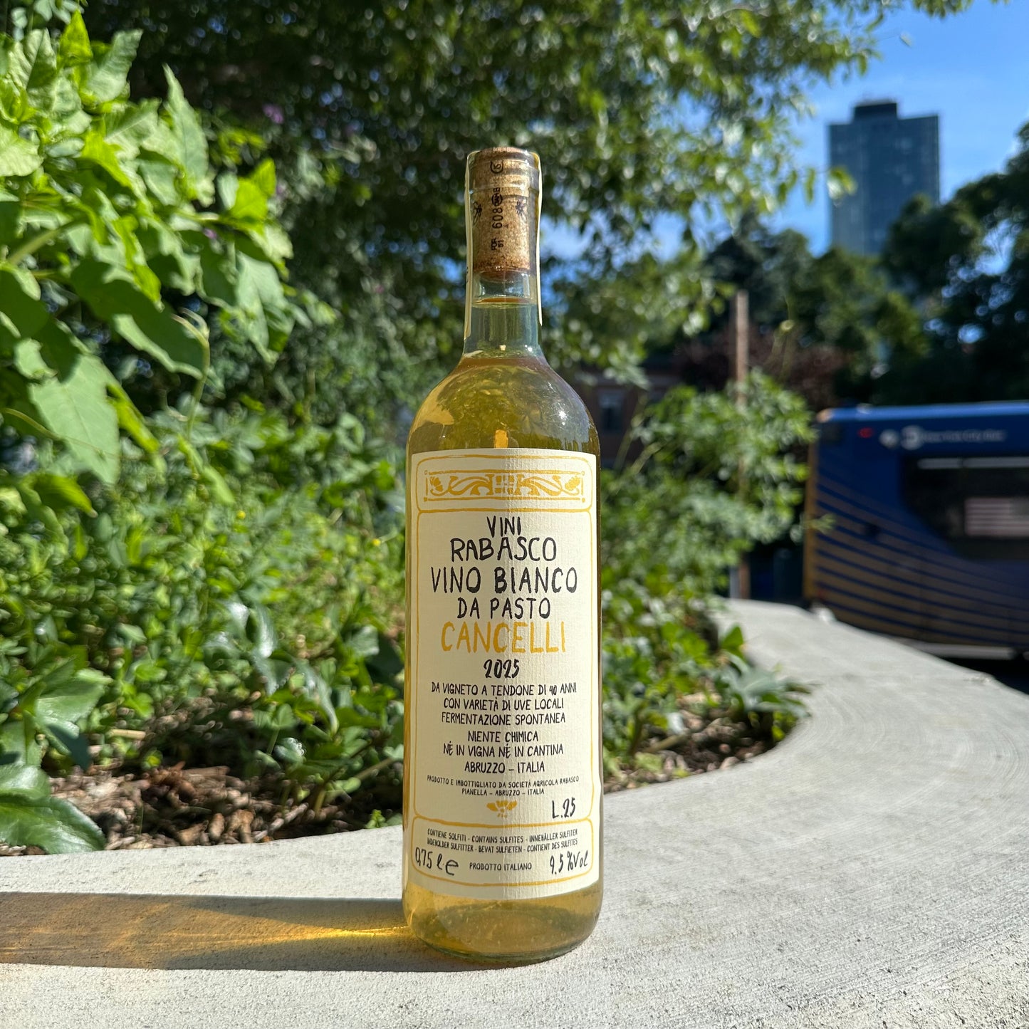 Vini Rabasco, "Cancelli Bianco" 2025