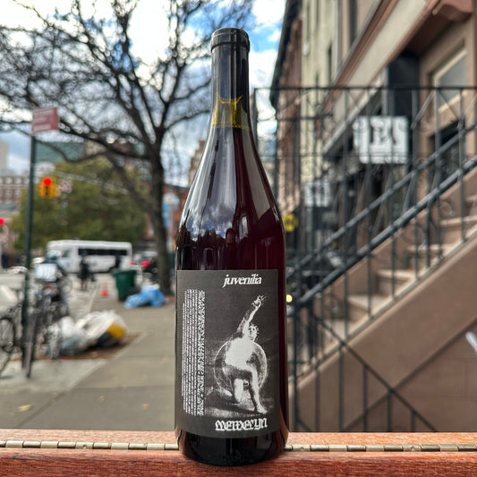 Llewelyn, "Juvenilia" 2024