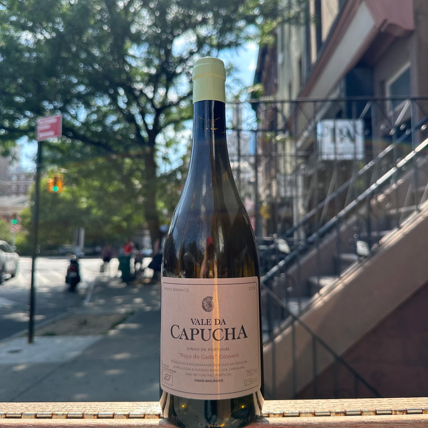 Vale da Capucha, "Gouveio" 2018