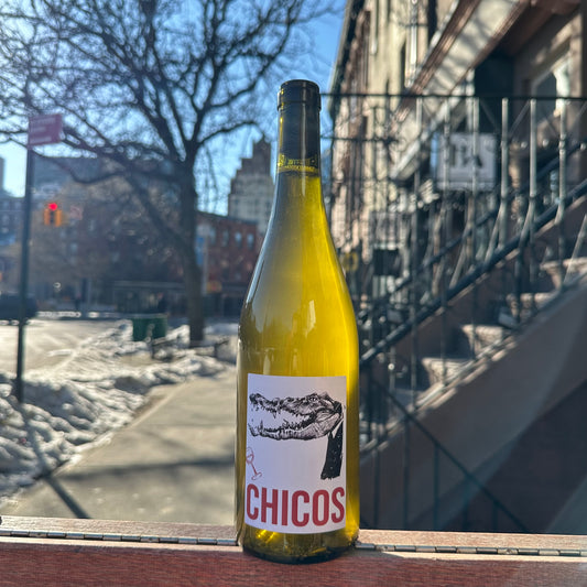Julien Pineau, "Chicos" 2024