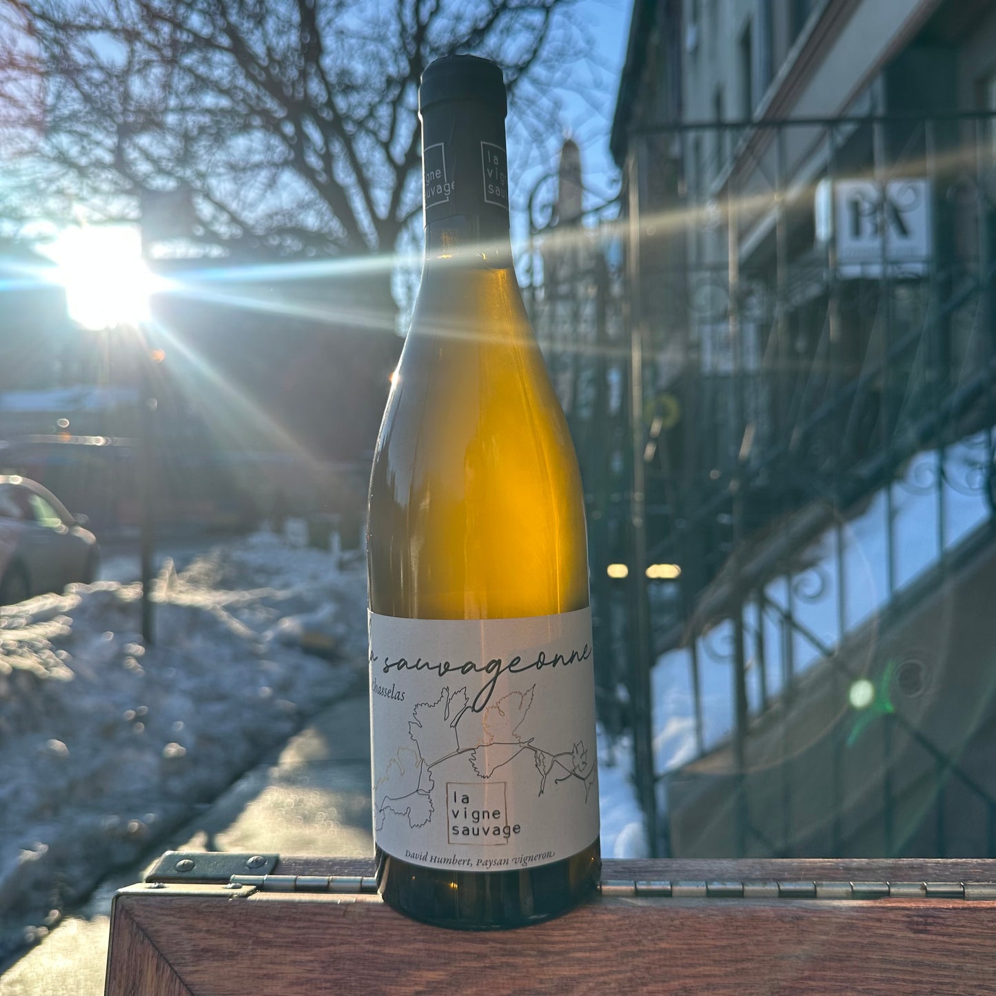 La Vigne Sauvage, "La Sauvageonne" 2021