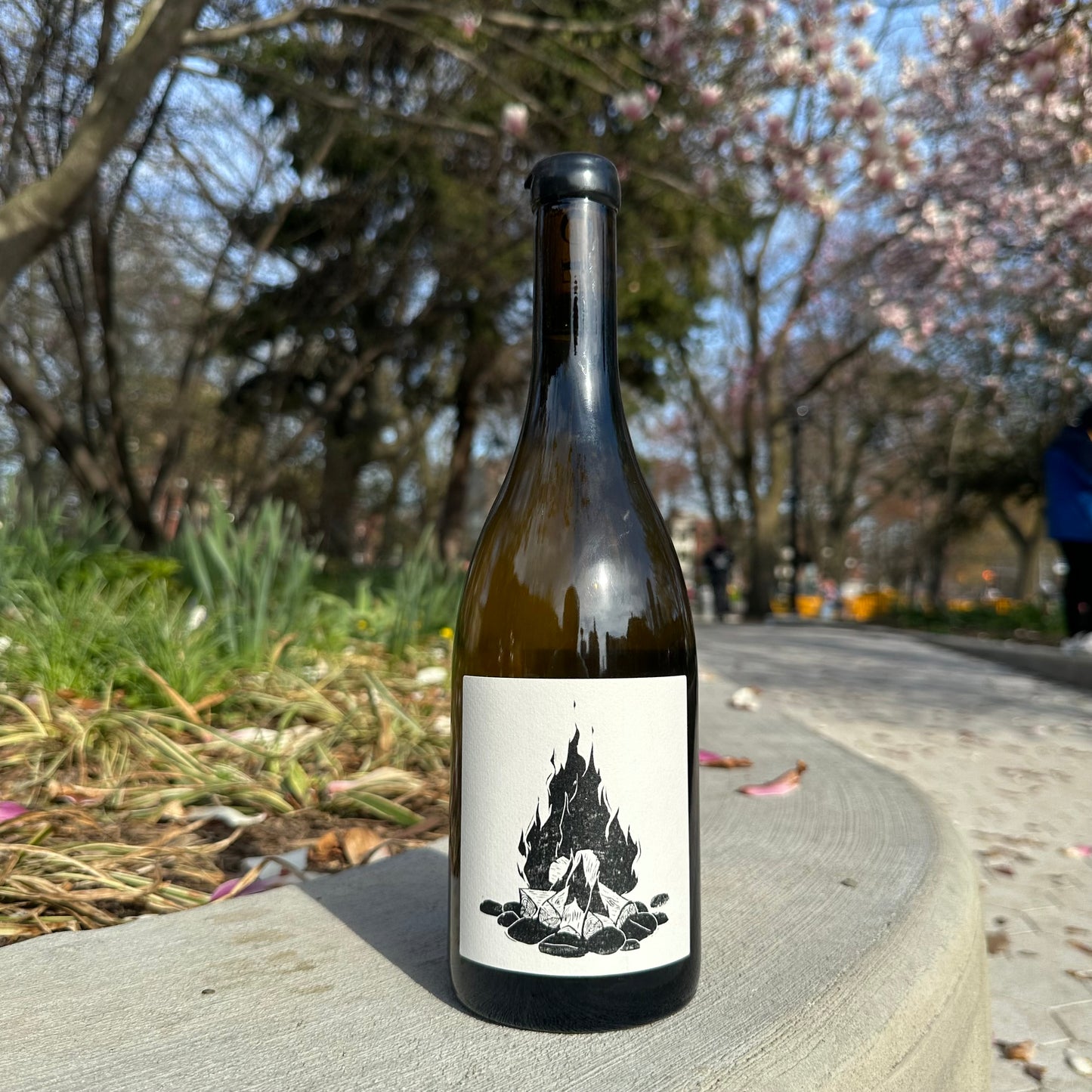 Vin Noé, “Saint-Aubin 1er Cru La Chatenière, ‘La Sauvage’” 2023