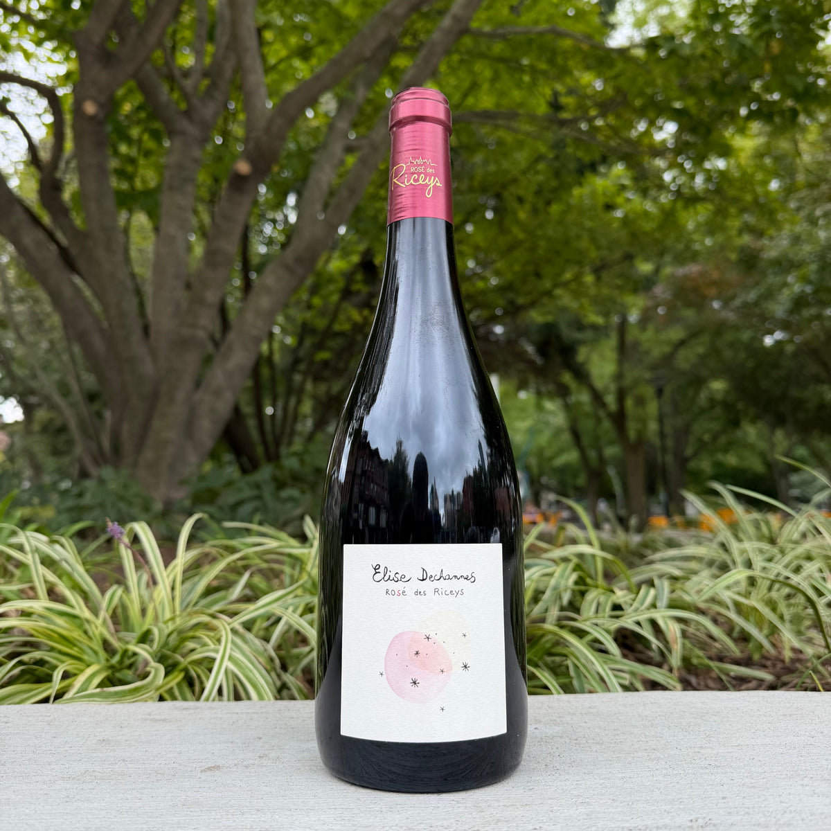 Elise Dechannes, "Rosé des Riceys" 2022