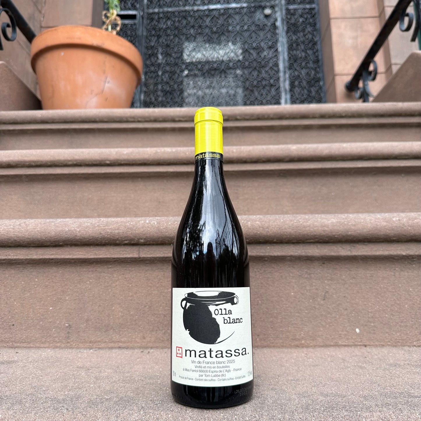 Matassa, “Olla Blanc” 2025