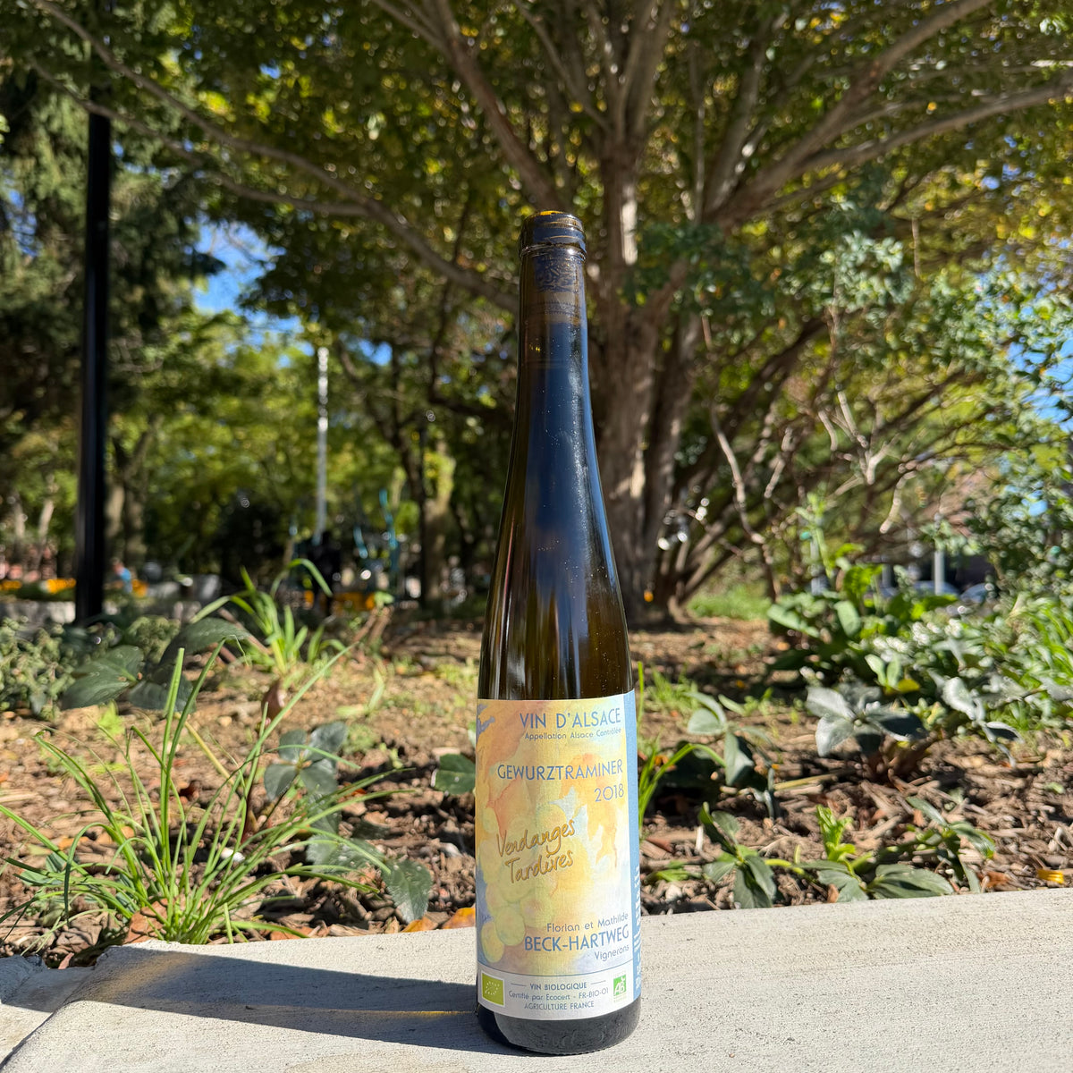 Beck-Hartweg, "Vendanges Tardives" 2018 [500mL]