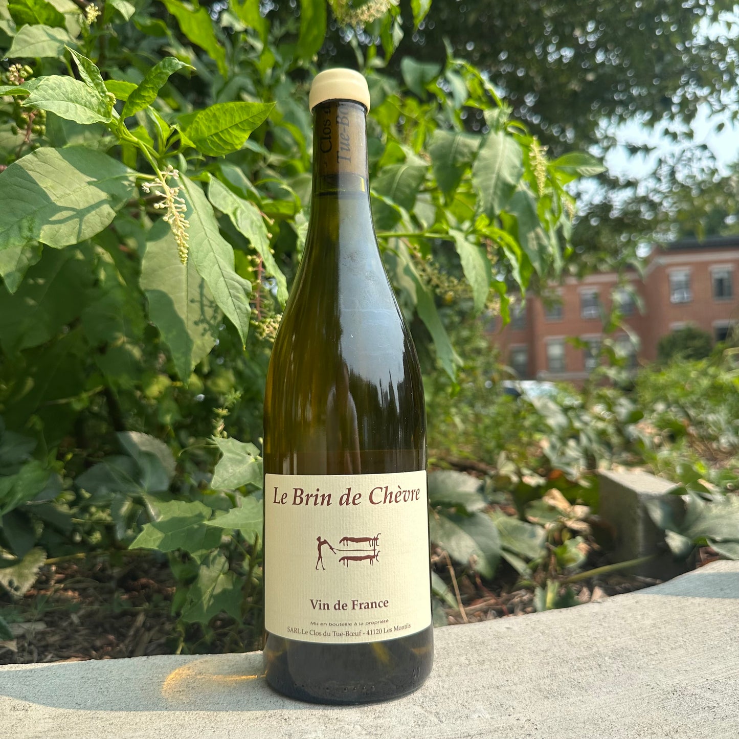 Clos du Tue-Boeuf, "Brin de Chèvre" 2024