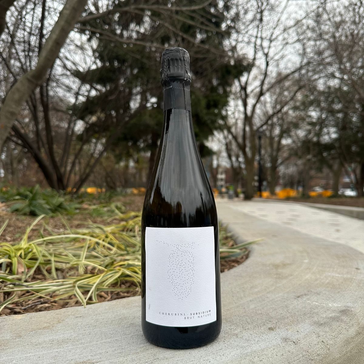 Cherubini, "Subsidium, Brut Nature" NV