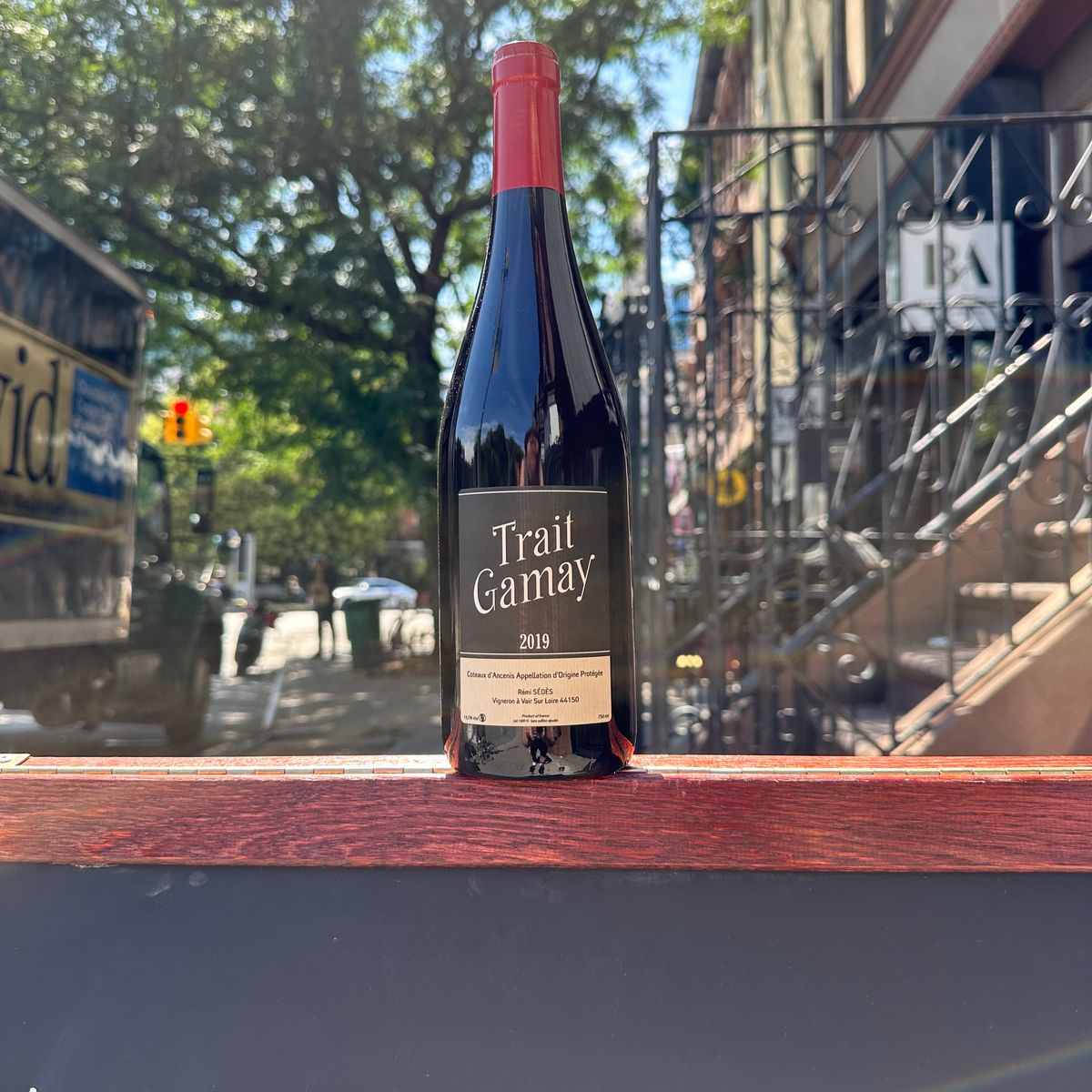 Rémi Sedes, "Trait Gamay" 2019