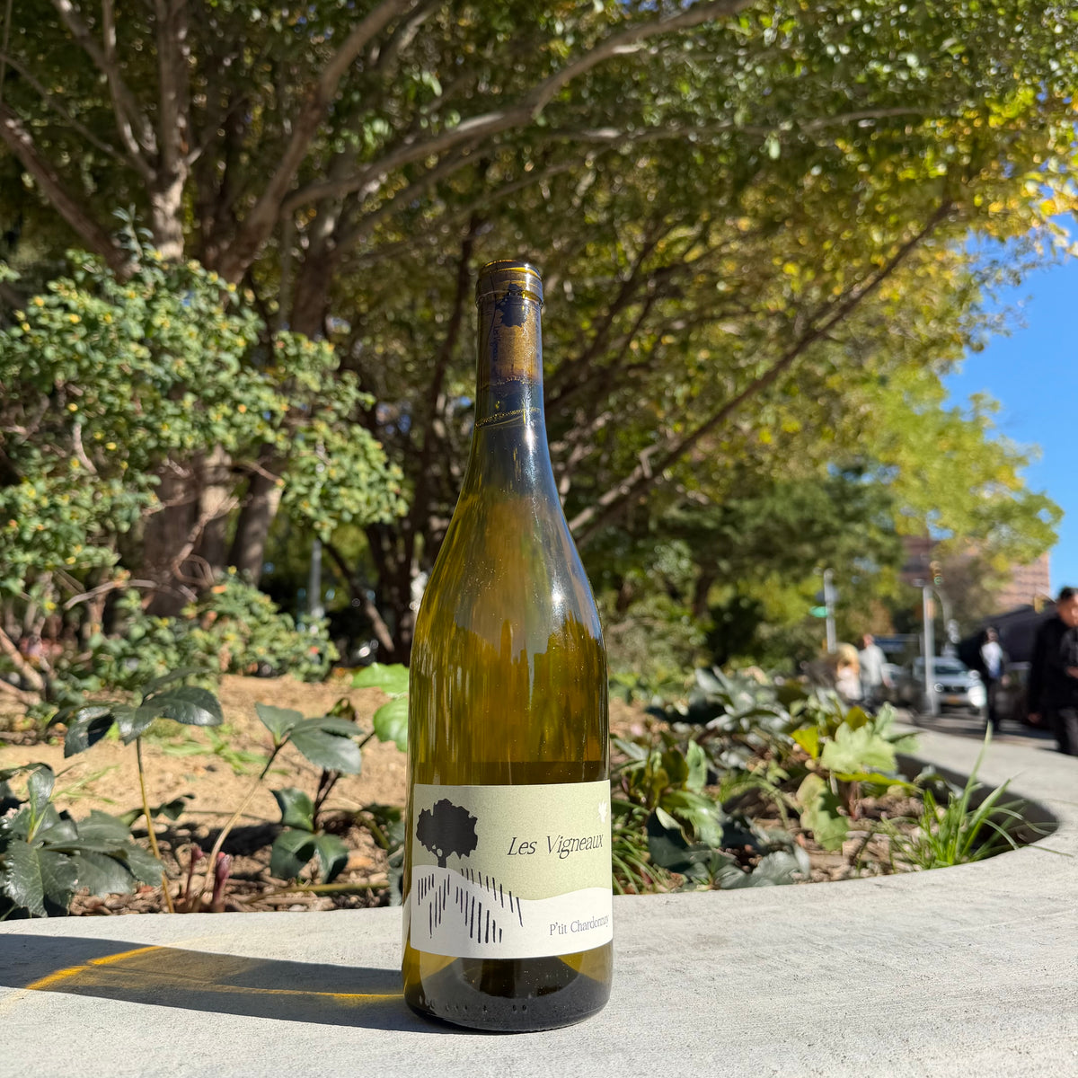 Les Vigneaux, "P'tit Chardonnay" 2024