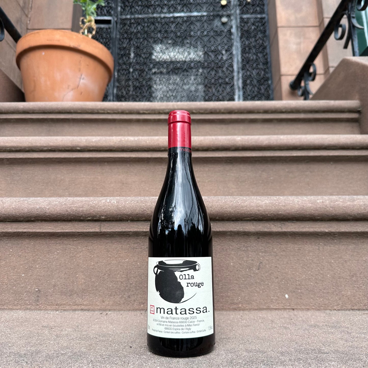 Matassa, “Olla Rouge” 2025
