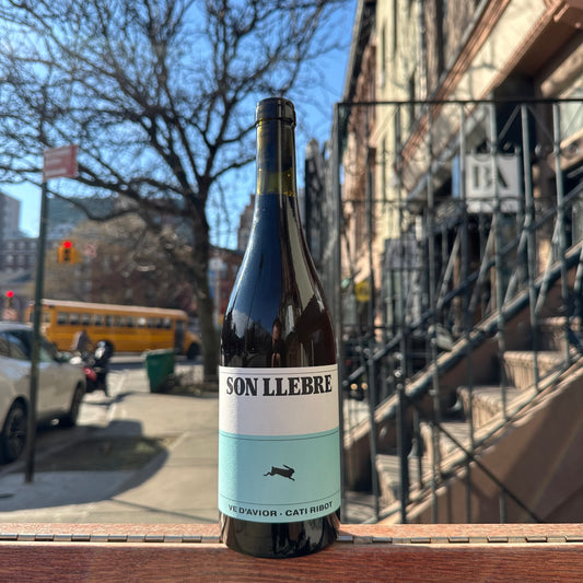 Cati Ribot, "Son Llebre Negre" 2024