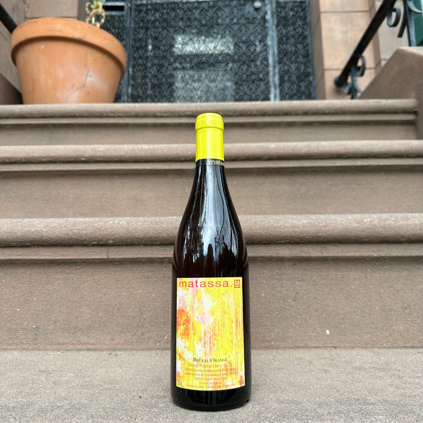 Matassa, "Brutal Orange" 2025