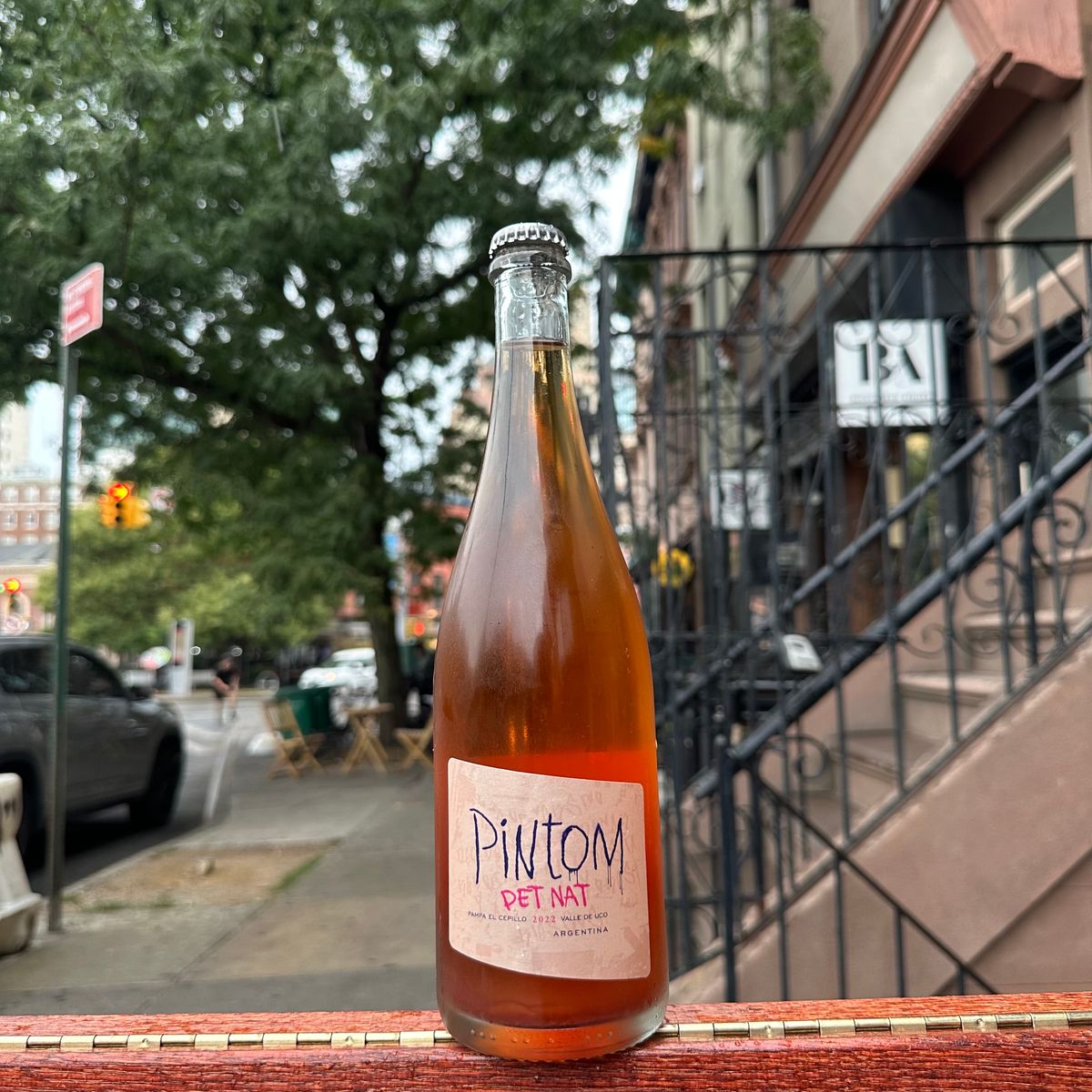 Canopus, "Pintom Pét-Nat" 2022