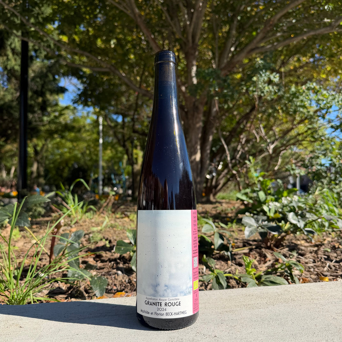 Beck-Hartweg, "Granite Rouge" 2024