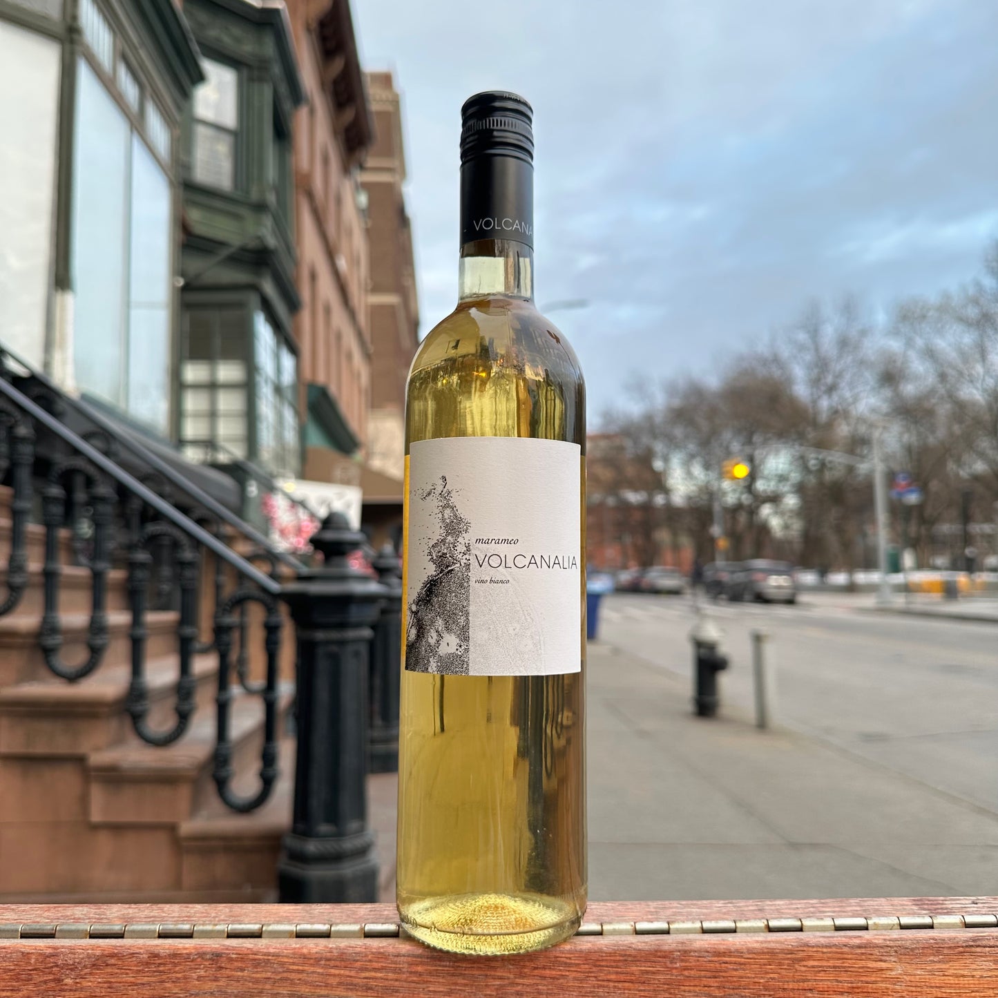 Volcanalia, "Marameo" 2020