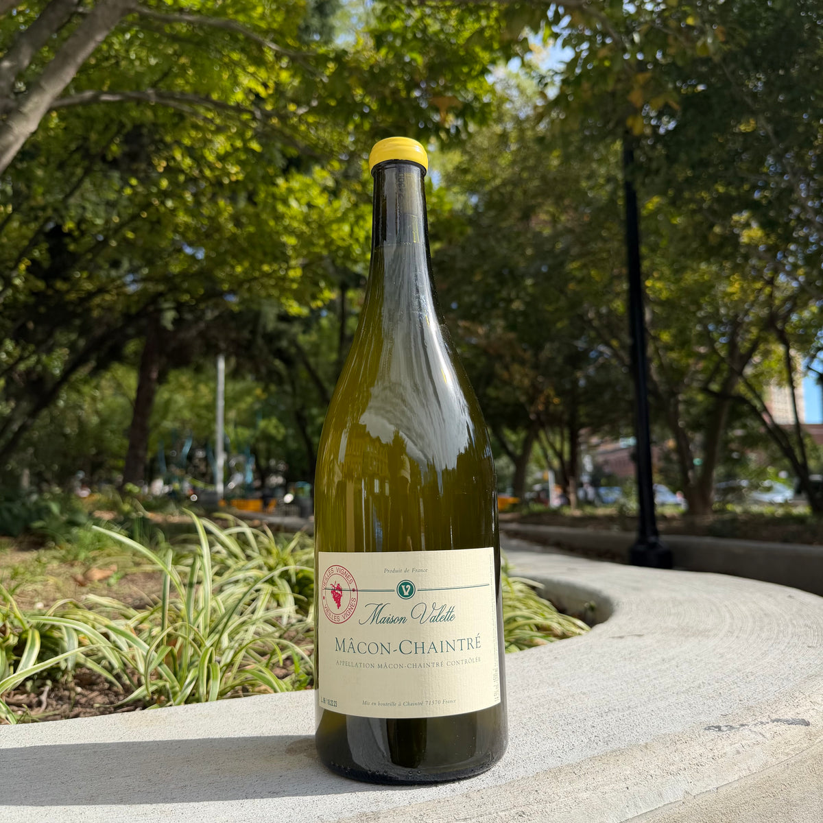 Maison Valette, “Mâcon-Chaintre, ‘Vieilles Vignes’” NV [1.5L - MAG]