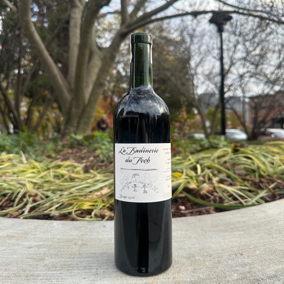 Domaine du Pech, "La Badinerie du Pech Rouge" 2016