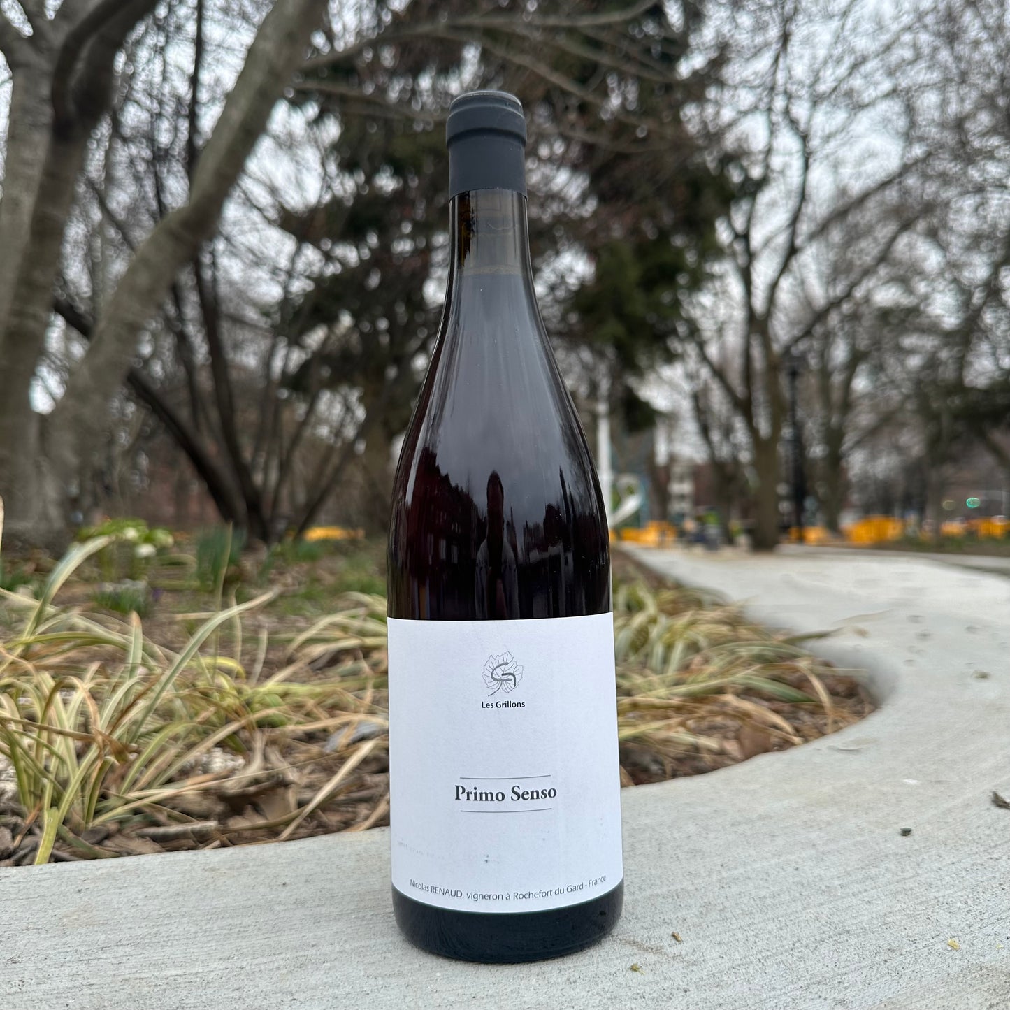 Clos des Grillons, "Primo Senso" 2024