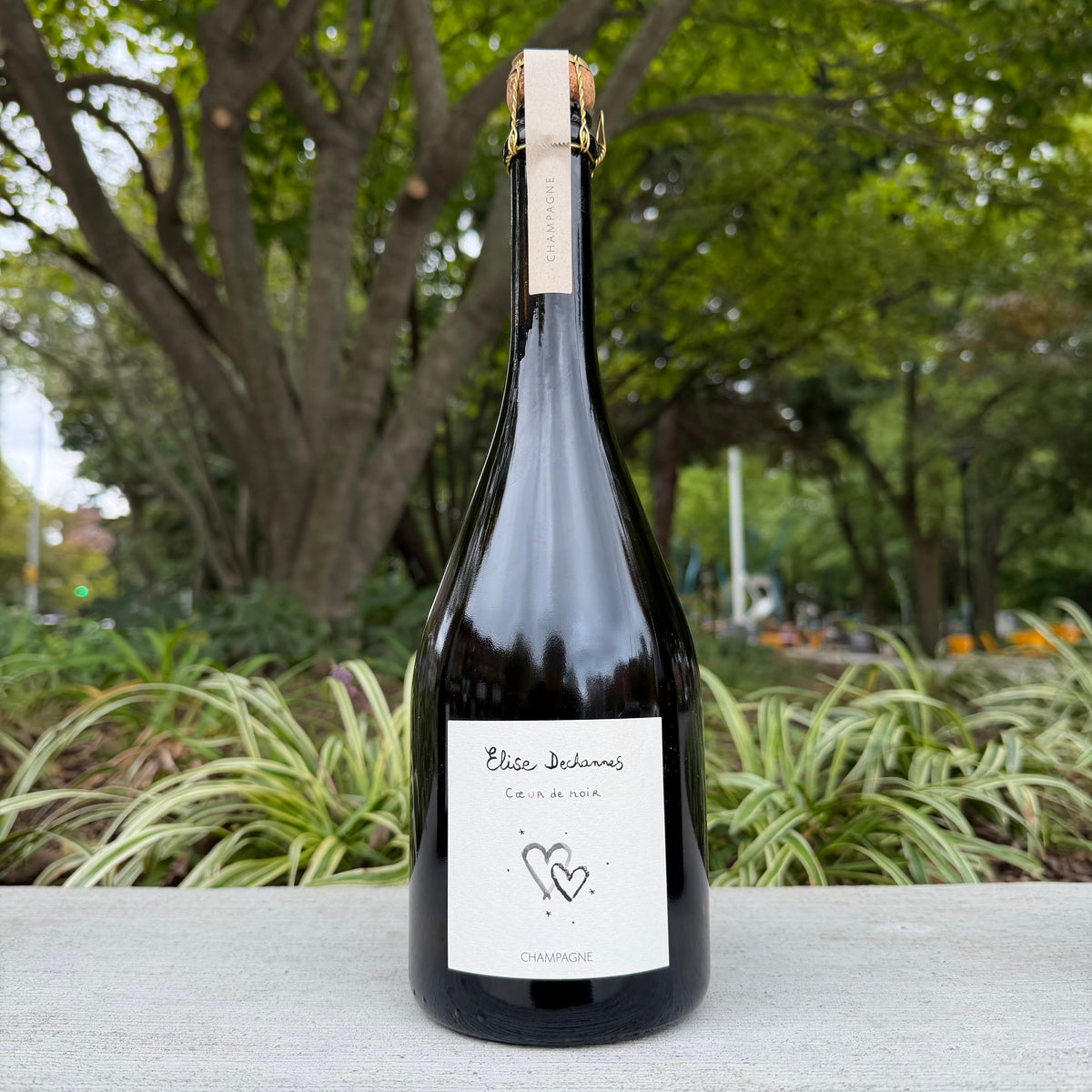 Elise Dechannes, “Coeur de Noir, ‘Champ Mechain’” 2021