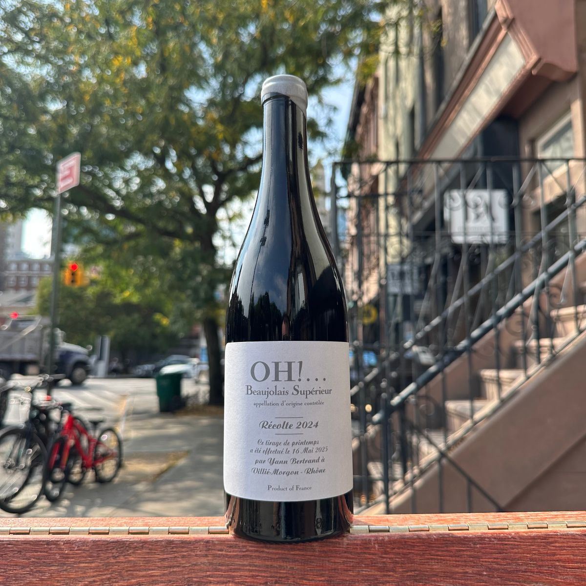 Yann Bertrand, “Oh!!!” 2024