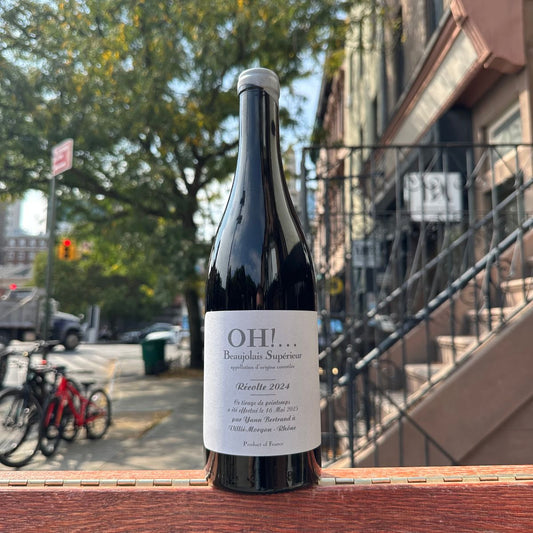 Yann Bertrand, “Oh!!!” 2024