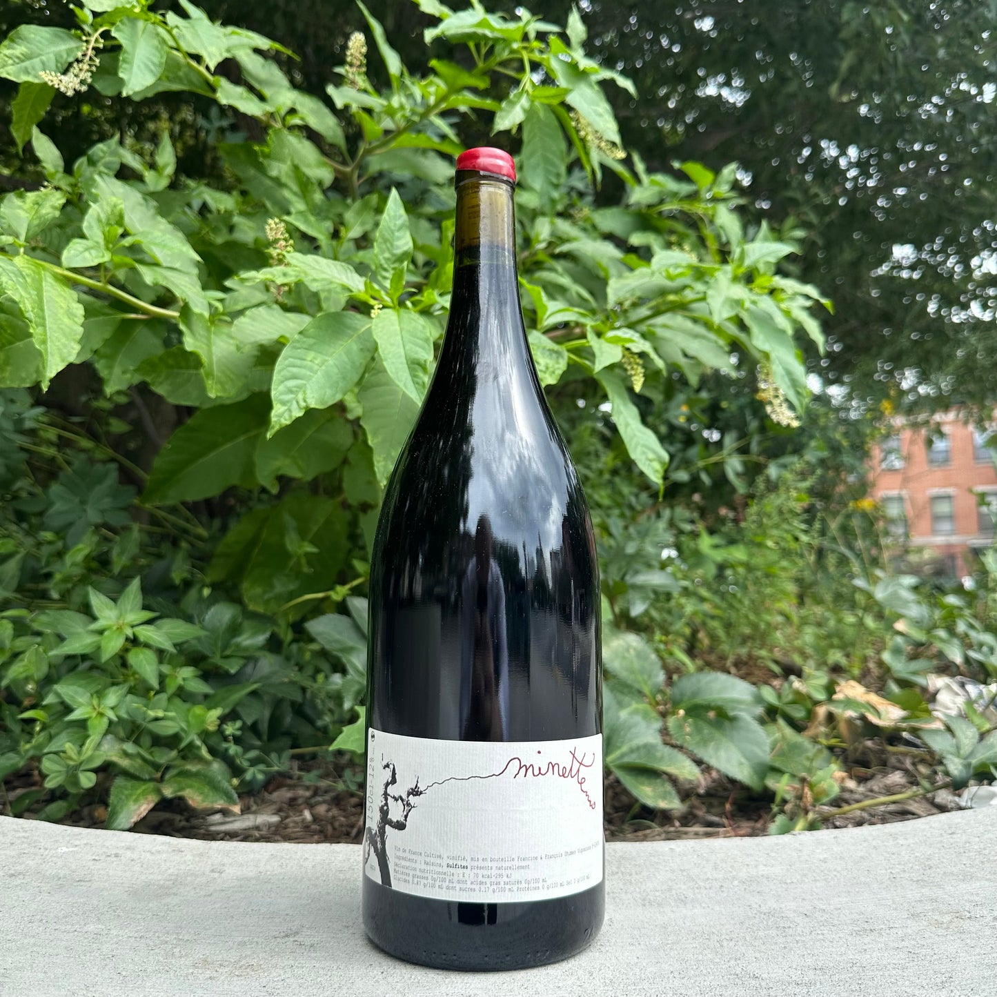François Dhumes, "Minette" 2024 [1.5L - MAG]