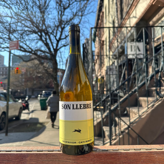 Cati Ribot, "Son Llebre Blanc" 2024