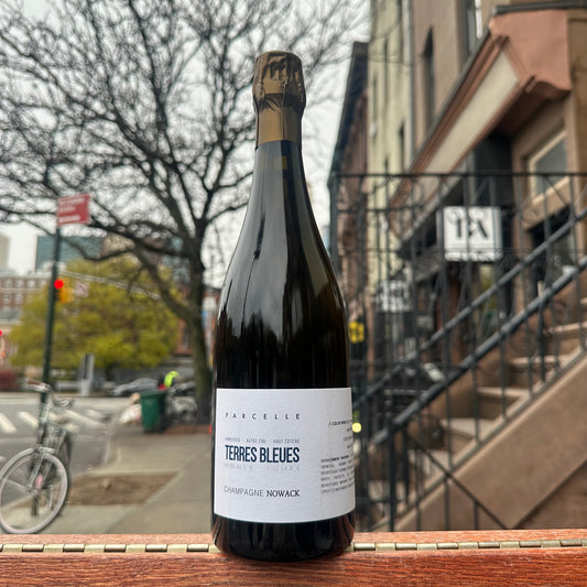 Flavien Nowack, "Les Terres Bleues" 2021