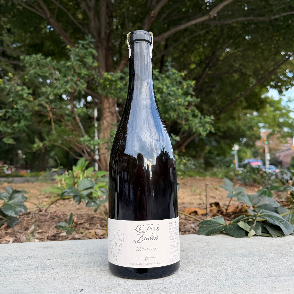 Domaine du Pech, “Le Pech Badin Blanc” 2016