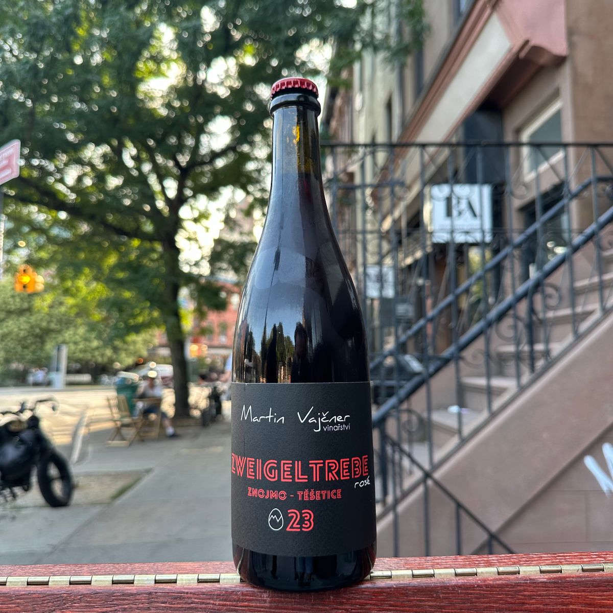 Martin Vajčner, "Zweigeltrebe" 2023