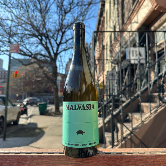 Cati Ribot, "Malvasia" 2024