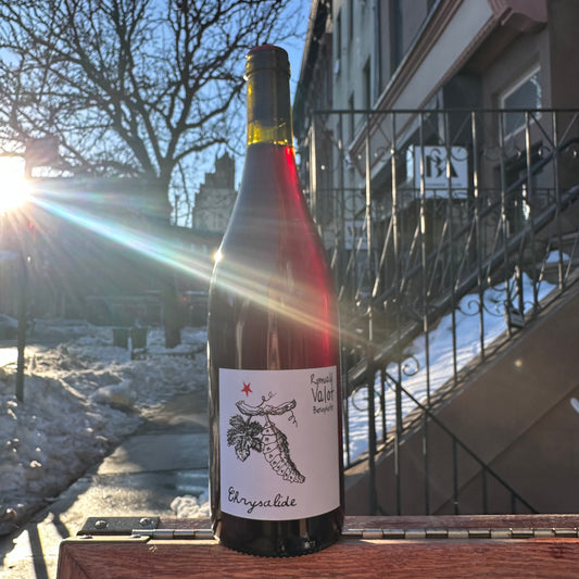 Romuald Valot, "Chrysalide" 2024