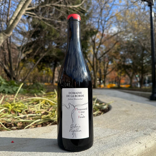 Domaine de La Borde, "Poulsard, 'Côte de Feule'" 2022