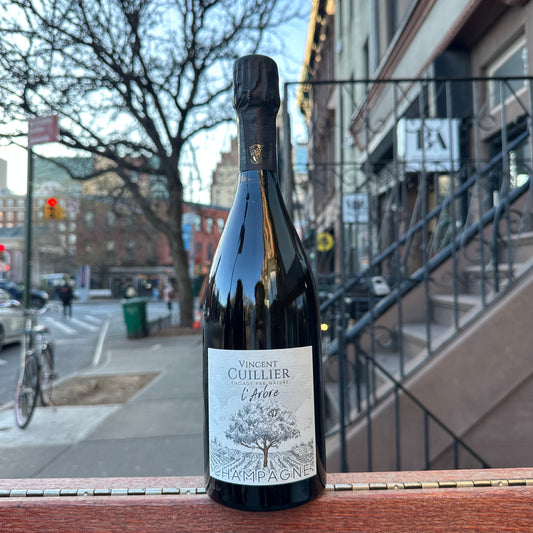 Vincent Cuillier, "L'Arbre Blanc, Brut Nature" 2021