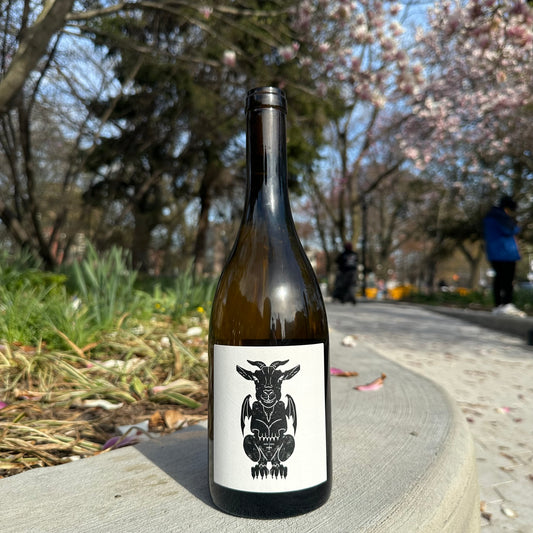Vin Noé, “Totem” 2024