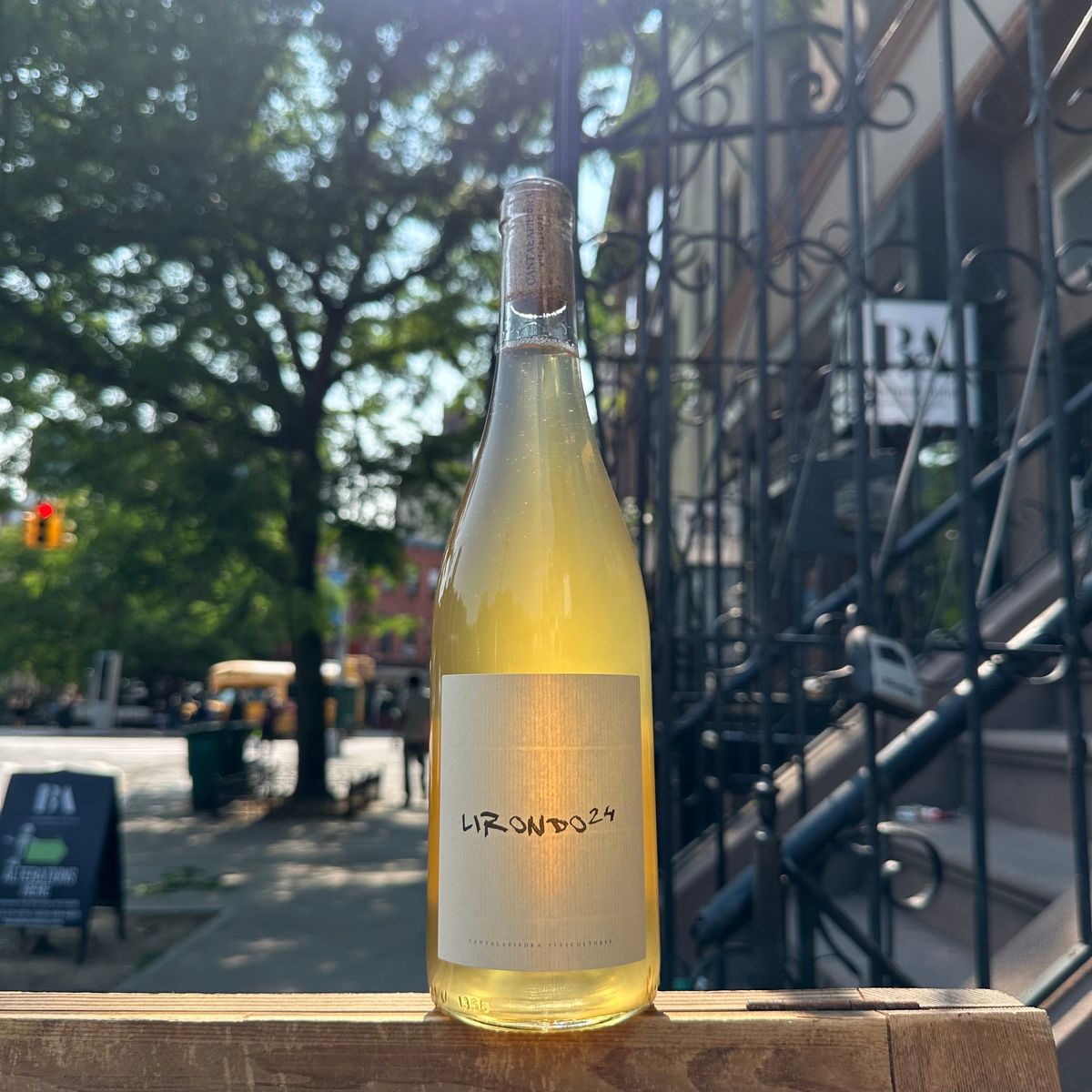 Cantalapiedra, "Lirondo Blanco" 2024