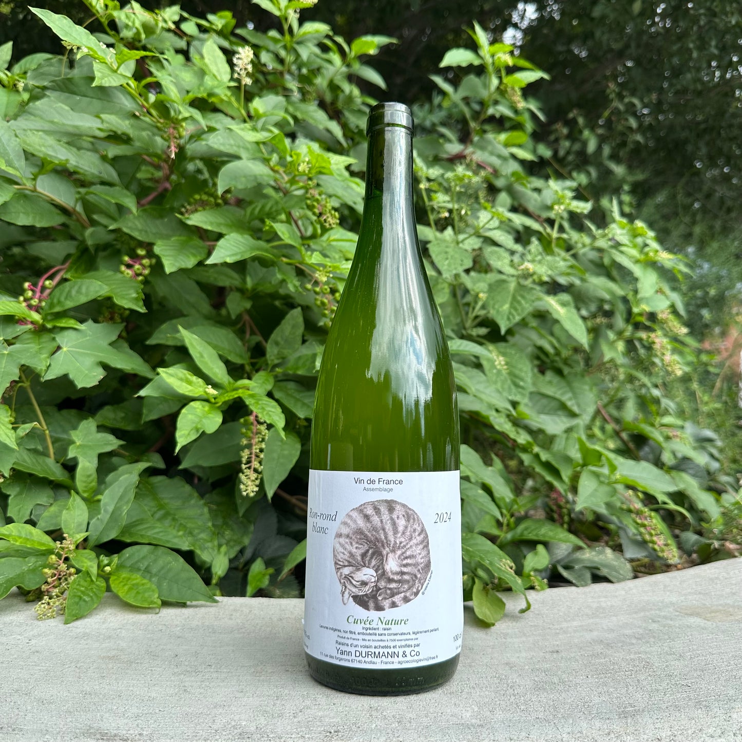 Durrmann, “Ron-Rond de Litron Blanc [1L]” 2024